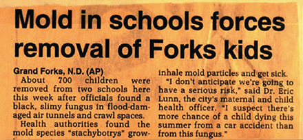 Mold in schools forces removal of Forks kids Mold in schools forces removal of Forks kids