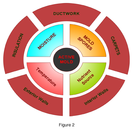 4 Factors of Mold Growth